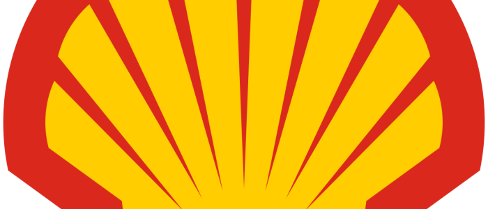 Gambar Shell Laut: Keindahan Kerang Laut, Habitat Marin, dan Ekosistem Laut